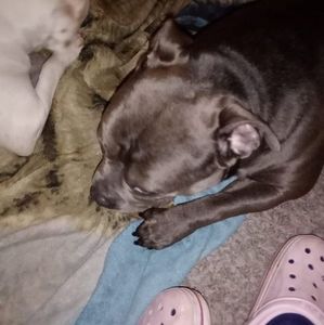 Meet your Posher, Jenny